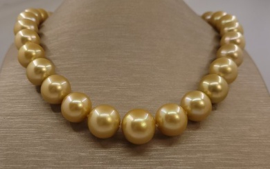 Necklace PSL Certified Golden South Sea Pearls - Huge Size 12.1x15.8mm
