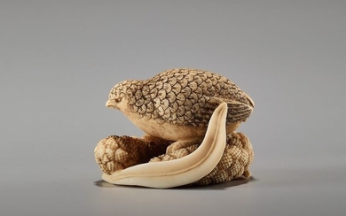 Netsuke - Elephant ivory - Quail on millet - Japan - Edo Period (1600-1868)