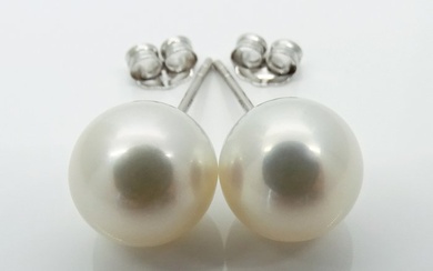 No Reserve Price - Akoya Pearls, Round 8,5 -9 mm - Earrings - 18 kt. White gold