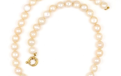 No Reserve Price - Necklace - 18 kt. Yellow gold Pearl