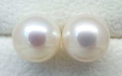 No Reserve Price - South Sea Pearls, Round 9,5 -10 mm - Stud earrings - 14 kt. Yellow gold