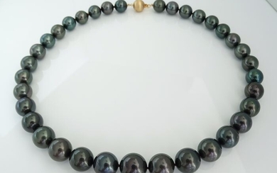 No Reserve Price - Tahitian pearls, Midnight Blue-Green Round 11 X 14mm - Necklace, 18 kt. Yellow Gold - Diamonds