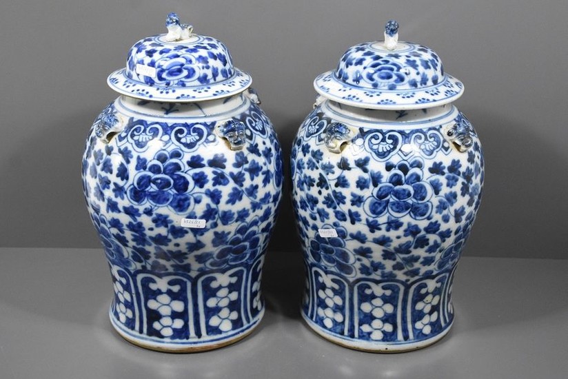 Pair of 19th century Chinese porcelain vases (Ht...