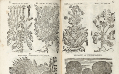 SPIELMANN, Jacques Reinbold (1722-1783) - Pharmacopoea Generalis. Venice: Giovanni Antonio Pezzana, 1786. An interesting botanical work rarely available on the...