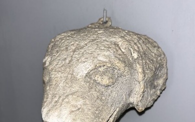Sculpture en pierre figurant une tête de... - Lot 67 - Baron Ribeyre & Associés