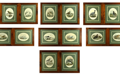 Scuola Francese del XIX secolo VOLATILI stampe, cm 30x44 ciascuna (14)