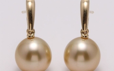 United Pearl - 14 kt. Yellow Gold - 10x11mm Golden South Sea Pearls - Earrings