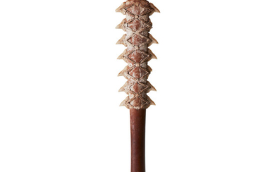 Shark Tooth Weapon, Matty/Wuvulu Island, Papua New Guinea