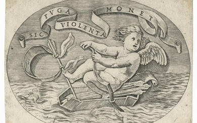 Dente, Venere spinaria, 1515