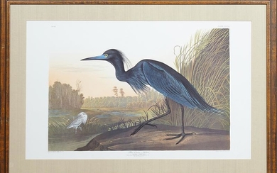 John James Audubon (1785-1851), "Blue Crane or Heron,"