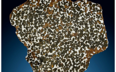 Sericho Meteorite Slice Pallasite Kenya - (1°5'41.16"N, 39°6'8.30"E)...