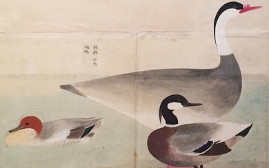 Japanese School Watercolor of Ducks