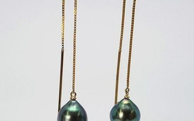 9x10mm Peacock Tahitian Pearl Drops - 14K Yellow Gold - Earrings