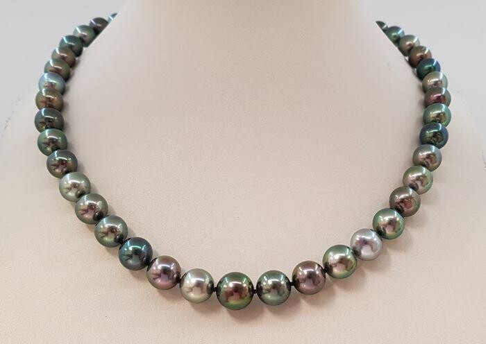9x11mm Round Multi Coloured Tahitian pearls - Necklace