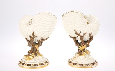 A PAIR OF ROYAL WORCESTER NAUTILUS SHELL VASES, each