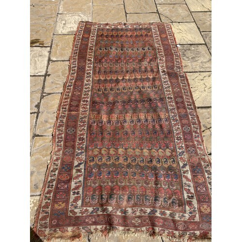 A Tribal rug, multiple borders, centre with repeating geomet...