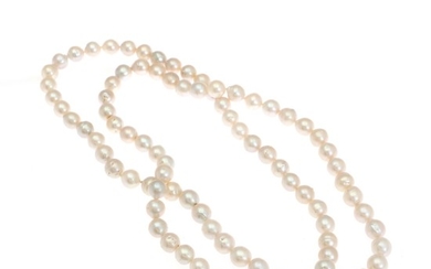 A long pearl necklace with no clasp of numerous cultured pearls. Pearl diam. app. 12 mm. L. 114 cm.