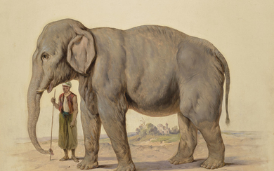 AUGUST VON PELZELN (PRAGUE 1825-1891) ET FRANZ STEINDACHNER (VIENNE 1834-1919), Éléphant et homme oriental enturbanné