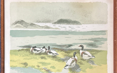 LITHOGRAPH OF DUCKS.