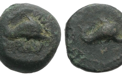 Northern Apulia, Salapia, c. 275-250 BC. Æ (12mm, 3.68g, 6h)....