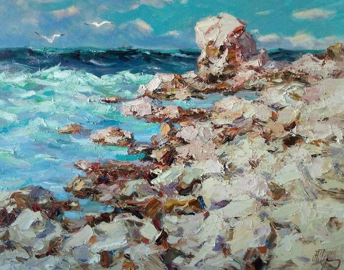 Oil painting Coast Alexander Nikolaevich Cherednichenko