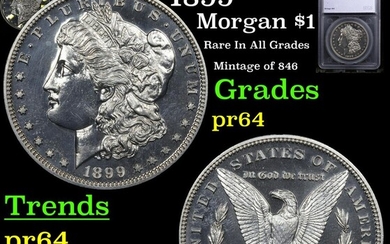 Proof ***Auction Highlight*** 1899 Morgan Dollar $1 Graded pr64 By SEGS (fc)