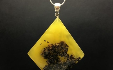 Unique and Outstanding Amber Pendant with chain, shaped