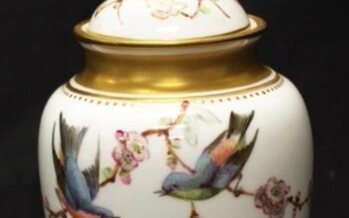 Victorian Crown Derby hand painted lidded urn painted bird...