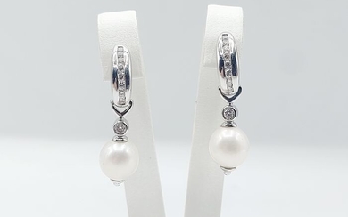 18 kt. White gold - Earrings - 0.20 ct Diamonds - Freshwater Pearls - Diameter: 8mm