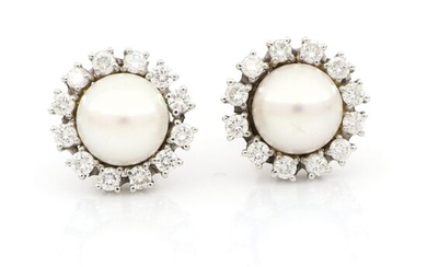 18 kt. White gold - Earrings - 1.20 ct Diamond - Pearls