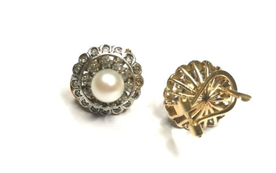18 kt. White gold, Yellow gold - Earrings Pearl - Sapphires
