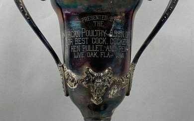 1915 American Poultry Assn. Best Cock Cockerel Hen Pullet and Pen Trophy