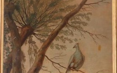 19th Century Exotic Birds Oil on Canvas Wall Panel