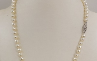 5.5x6mm Bright Akoya pearls - 14 kt. White gold - Necklace