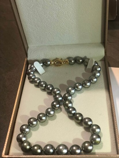 925 Silver, Tahitian pearl, 10-12 mm - Necklace