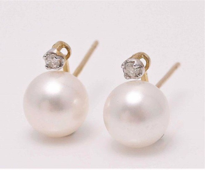 9K Yellow Gold - 6x7mm White Cultured Pearls - Earrings