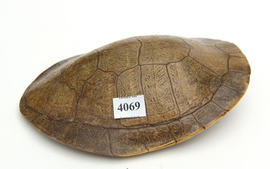 A 19TH CENTURY TURTLE SHELL