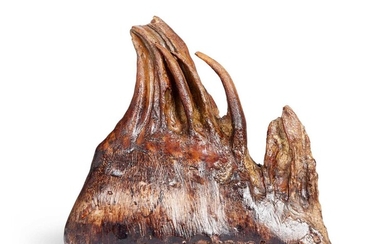 A FOSSILISED EXTINCT MAMMOTH TOOTH, ICE AGE