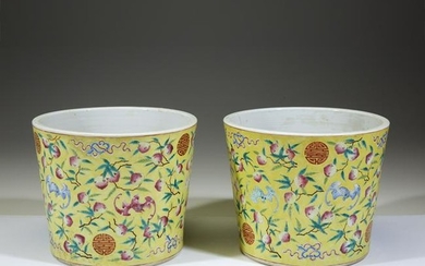 A pair of Chinese enameled porcelain yellow-ground