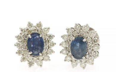 A pair of ear studs each set with a sapphire, totalling app. 1.04 ct. encircled by numerous diamonds, totalling app. 0.98 ct., mounted in 14k white gold. (2)