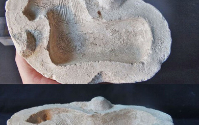 Ancient Roman Limestone mold for a sculpture horse - 5.4×12.7×19.2 cm - (1)