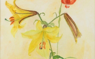 Dame Elizabeth Blackadder DBE RA RSA RSW, Scottish 1931-2021 - Lilies, 1983; watercolour and pencil on paper, signed and dated lower left 'Elizabeth Blackadder 1983', 34.2 x 34.4 cm (ARR) Provenance: with Mercury Gallery, London (according to the...
