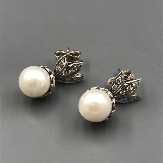 Earrings 18 kt.White gold, Akoya pearls - - Diamonds