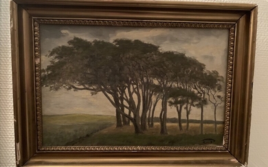NOT SOLD. Edvard Petersen: Study of trees. Signed EP. Oil on canvas. 29 x 41...