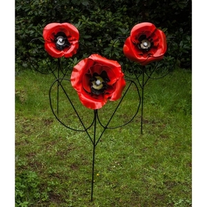 Kenny Roach, Poppies