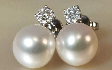 #LOW RESERVE PRICE# Top quality - 18 kt. Akoya pearls, Saltwater pearls, White gold, Size Ø 8,5x9 mm & diamonds 0,14cts - Earrings - Diamonds
