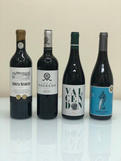 Lot of Red Wines - La Rioja, Arlanza - 36 Bottles (0.75L)