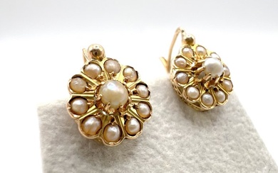 No Reserve Price - Earrings - 18 kt. Rose gold Pearl