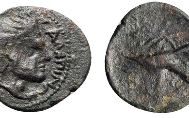 Northern Apulia, Salapia, c. 225-210 BC. Æ (15mm, 1.74g, 9h)....