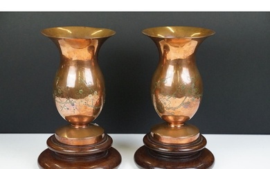Pair of Chinese Coppered Bronze Vases with prunus blossom en...